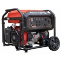 PLANTA ELECTRICA A GASOLINA WARRIOR 12KW