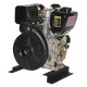 MOTOBOMBA DIESEL 6.7 HP ARVEK ALTA PRESION EN HIERRO 2*2