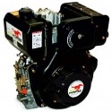 MOTOR DIESEL - ECOHORSE -14HP-3600RPM