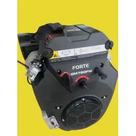 Motor FORTE  A Gasolina 25HP, Arranque Eléctrico