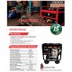 PLANTA ELECTRICA DIESEL 8.5 KW POWER MASTER